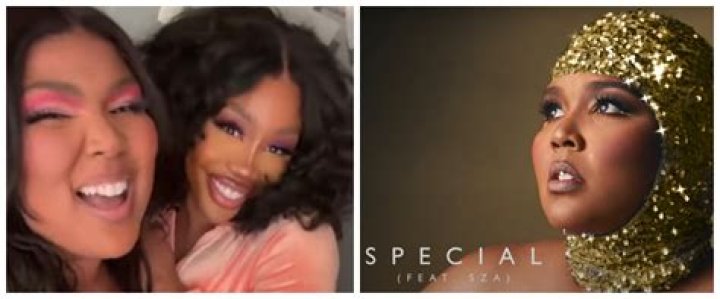 Are SZA And Lizzo Related, Family Tree And Net Worth Difference