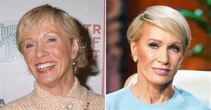 Barbara Corcoran | No Makeup | Plastic Surgery