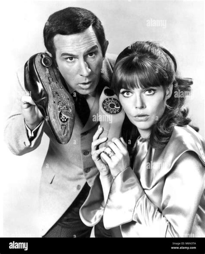 Barbara Feldon