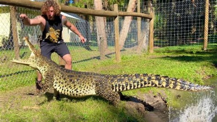 Chandler’s Wild Life