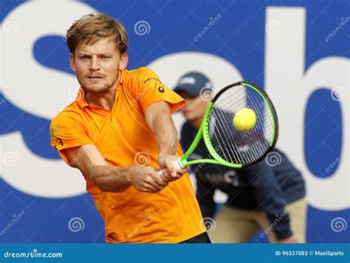David Goffin