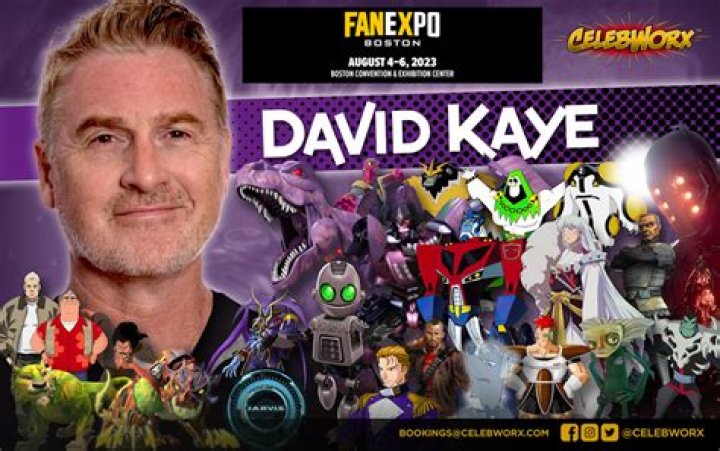 David Kaye