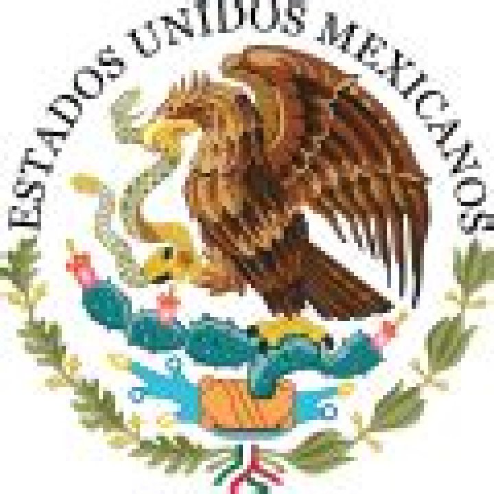 Feliciano Calzada Padrón