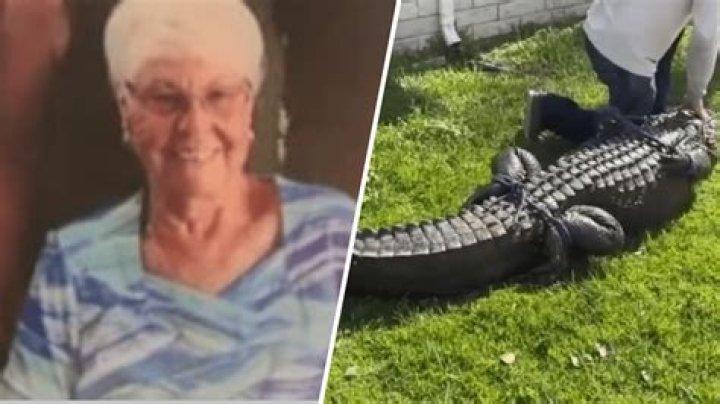 Gloria Serge Death And Obituary- 85 Year Old Killed By Alligator