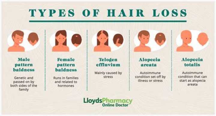 Is Hair Loss Of Lester Holt Attributable To Illness