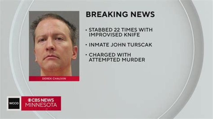 John Turscak Net Worth | How Rich Is Derek Chauvin Stabbing Suspect