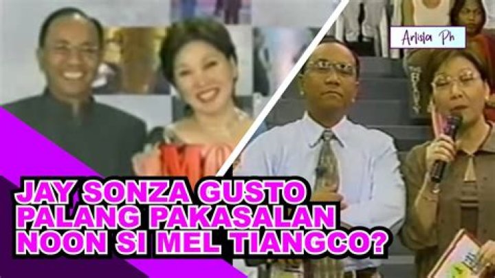 Mel Tiangco Husband | Relationship With Jay Sonza