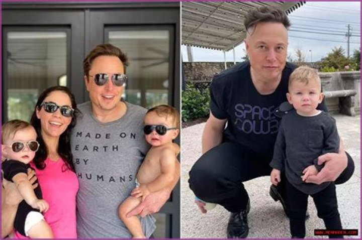 Natasha Bassett And Elon Musk Have Split After The Birth Of Twins