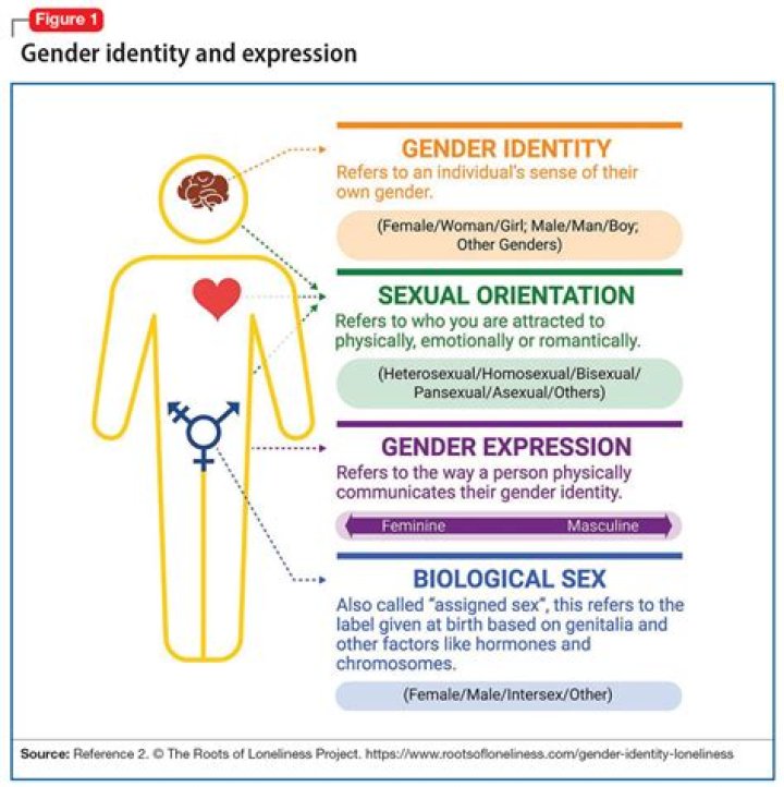 Olivier Renaud | Gender Sexuality And Partner