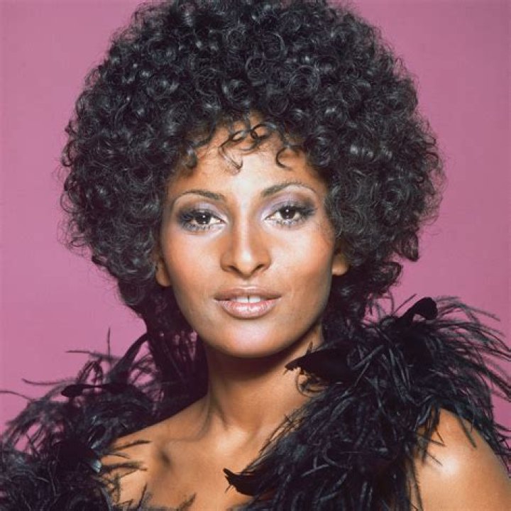 Pam Grier | Bio, Age, Net Worth, Relationship, Career