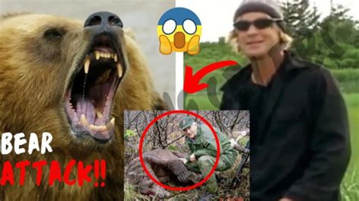 Timothy Treadwell Bear Attack Twitter And Autopsy: Real Video