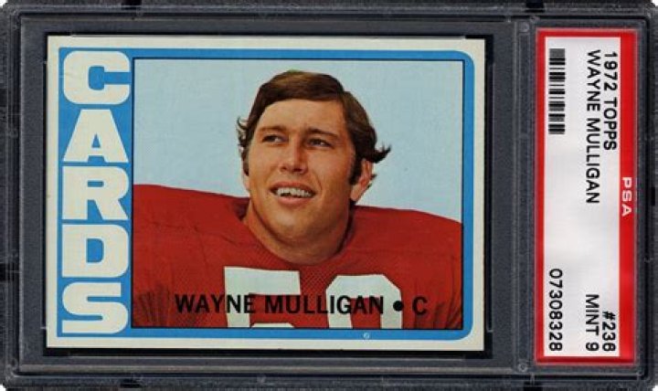 Wayne Mulligan