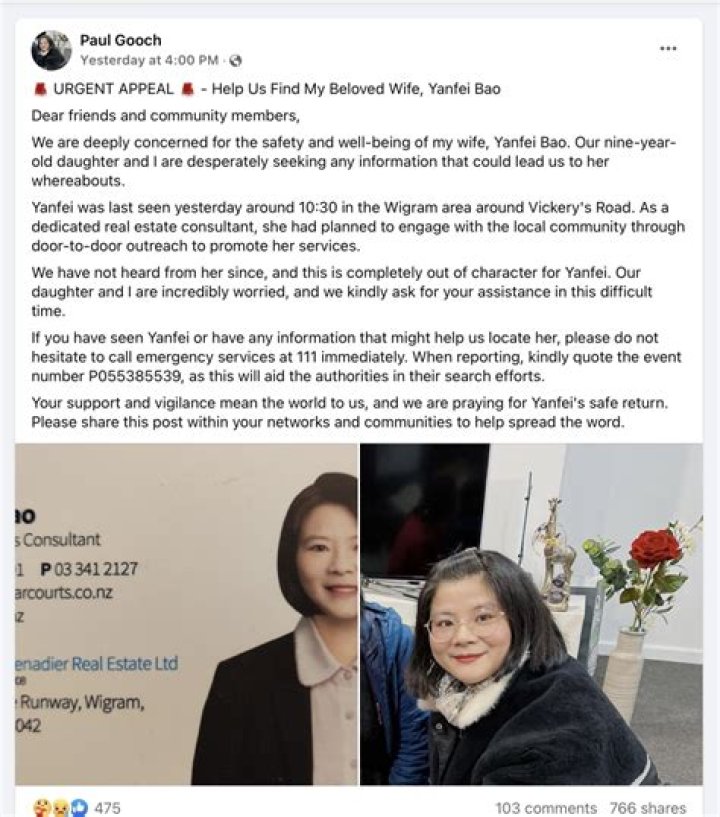 Yanfei Bao Missing Update | Is Real Estate Agent Found Yet